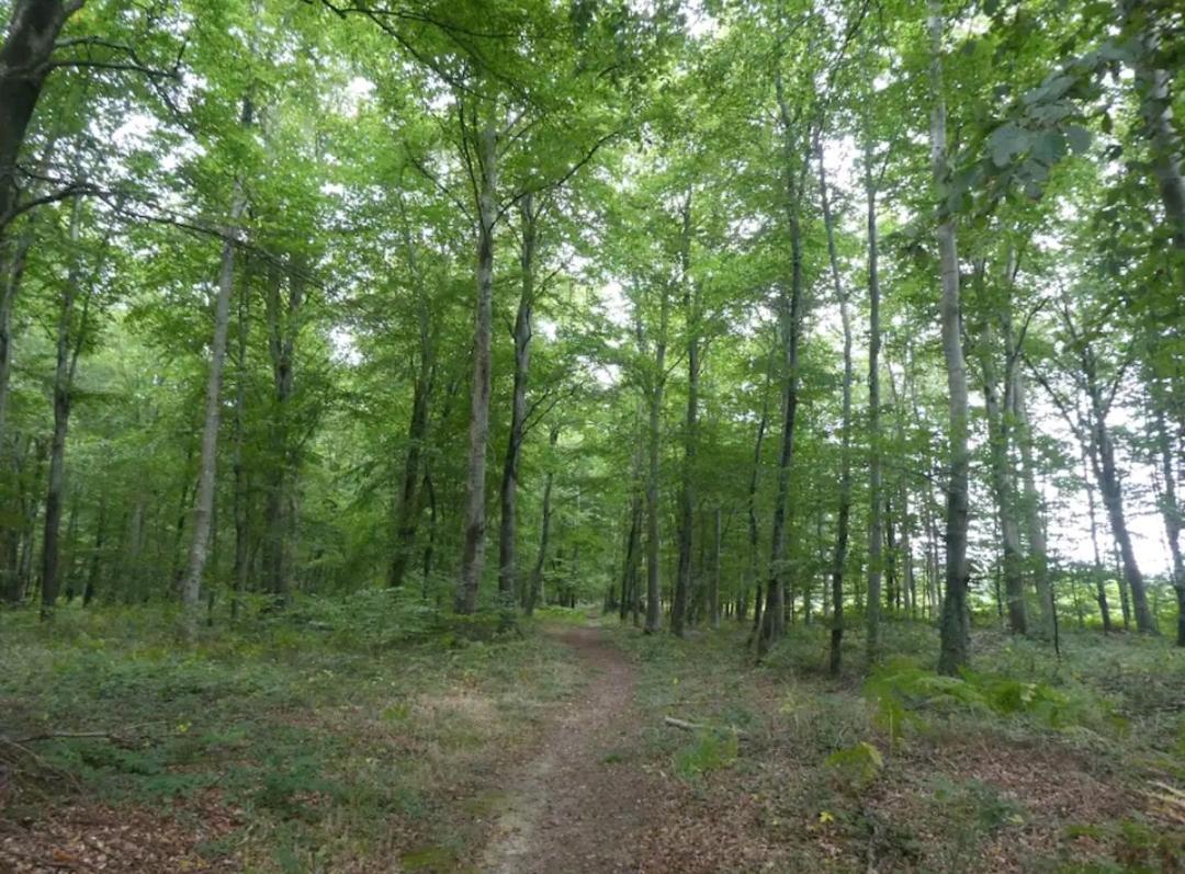 Gite de la Motte Litteau Esterno foto