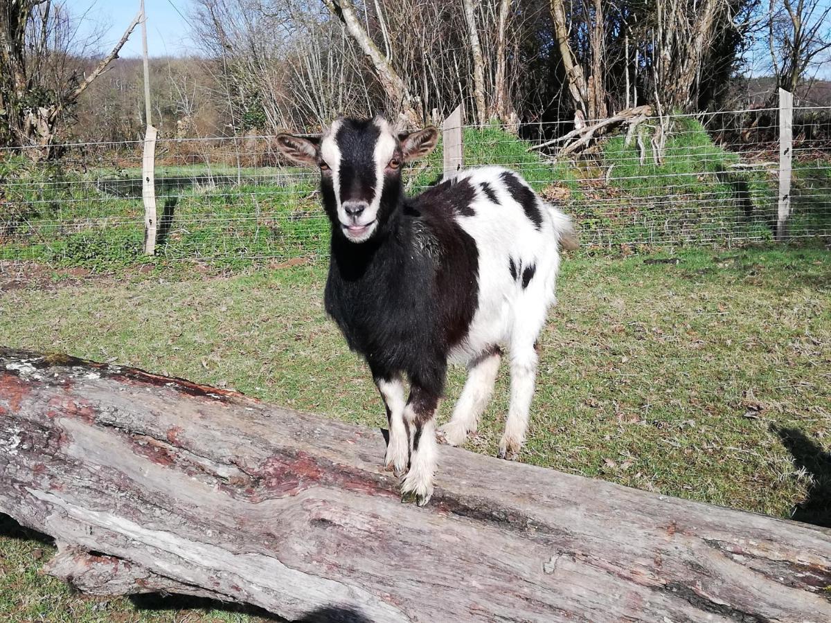 Gite de la Motte Litteau Esterno foto