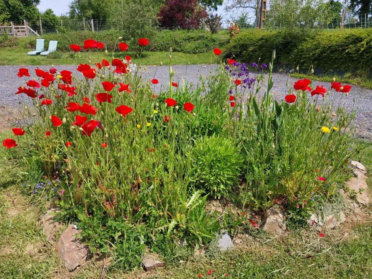 Gite de la Motte Litteau Esterno foto