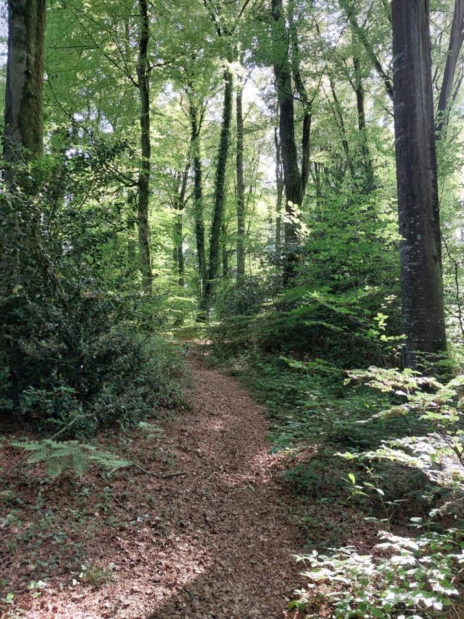 Gite de la Motte Litteau Esterno foto